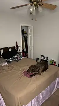 torilux online show from February 25, 2025, 8:14 am