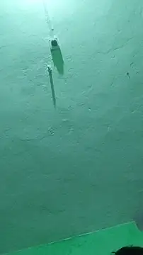 RADHAHO online show from October 9, 2025, 7:25 pm