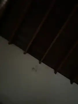 Snapshot of siri_duque chatting on March 23, 2026, 3:23 pm siri duque online show from March 23, 2026, 3:23 pm