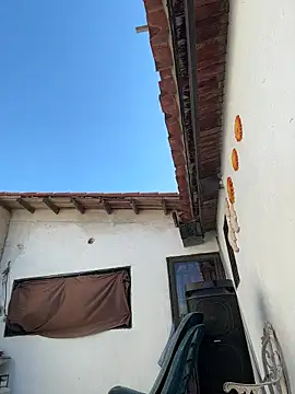 Leo bunny hot online show from November 13, 2025, 7:18 pm