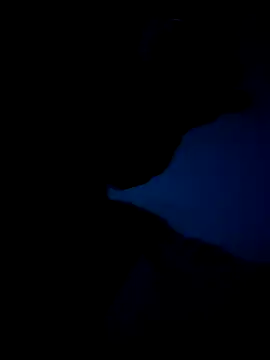 Germaney online show from February 25, 2025, 2:36 am