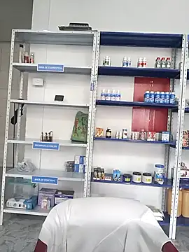 Megan jennerr online show from September 18, 2025, 3:04 pm