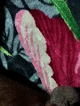 Kolkataboiy online show from October 4, 2025, 12:34 am