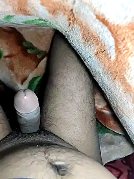 Kolkataboiy online show from December 17, 2025, 8:03 pm