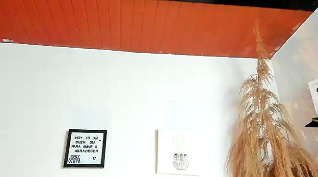 Snapshot of Pamelabru chatting on January 18, 2025, 2:02 pm Pamelabru online show from January 18, 2025, 2:02 pm