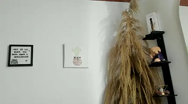 Snapshot of Pamelabru chatting on January 14, 2025, 11:37 pm Pamelabru online show from January 14, 2025, 11:37 pm