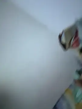 SweetBonniie online show from November 3, 2025, 12:05 am