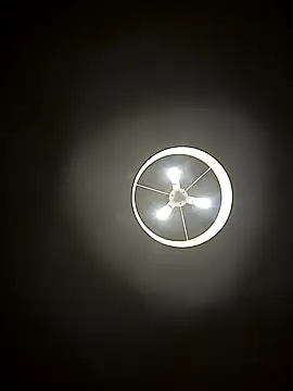 leloupblanc5304 online show from February 26, 2025, 7:42 pm