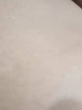 Snapshot of elcobin chatting on September 24, 2025, 7:37 am elcobin online show from September 24, 2025, 7:37 am