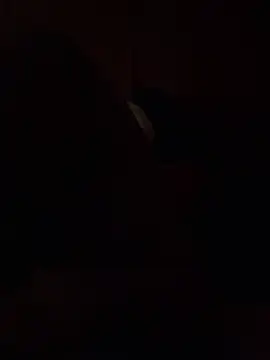 Dikkiduohottt online show from December 21, 2024, 5:14 am