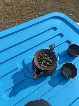 CN-Shanshan online show from February 1, 2026, 4:00 am