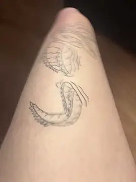 Snapshot of romanhrdcore chatting on January 31, 2025, 9:27 am romanhrdcore online show from January 31, 2025, 9:27 am