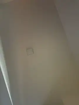 AgnesCampp online show from November 19, 2025, 7:25 pm