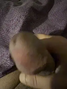 BigAddress0 online show from February 23, 2026, 2:46 am