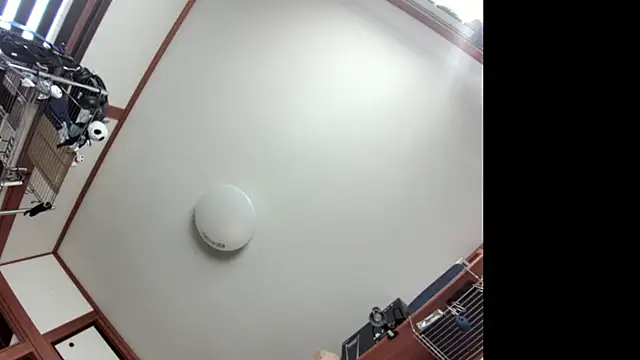 tuki fu online show from December 8, 2024, 3:07 am