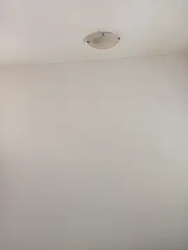 Virgin Pussy Love online show from October 1, 2025, 12:31 pm