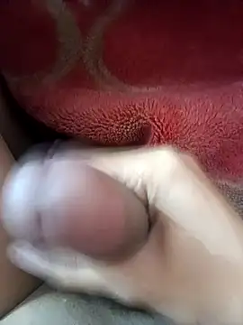 Snapshot of GUWAHATIBULL4405 chatting on December 29, 2024, 9:50 am GUWAHATIBULL4405 online show from December 29, 2024, 9:50 am