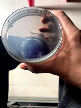 Privateseducer online show from September 25, 2025, 3:34 am