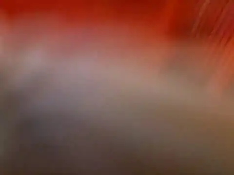 Lexxstacy online show from July 13, 2026, 9:03 pm