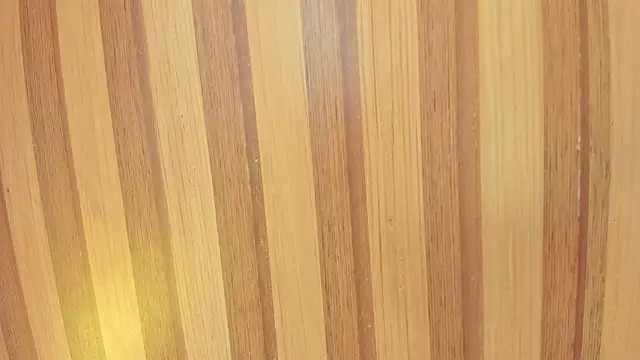 Taylor  cooper online show from February 7, 2026, 6:38 pm