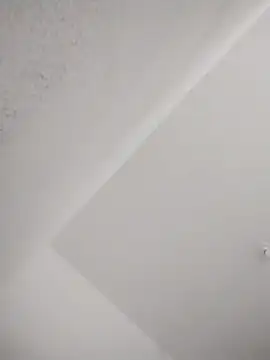 barboza991 online show from February 24, 2025, 3:20 pm