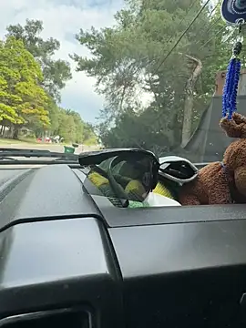 KBD85 online show from September 10, 2025, 7:46 pm