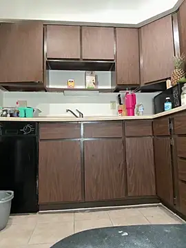 Snapshot of briakash chatting on March 24, 2026, 12:32 am briakash online show from March 24, 2026, 12:32 am