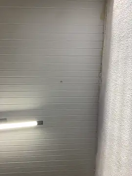 luara1988 online show from September 27, 2025, 11:05 am