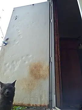 Beyond1978 online show from November 15, 2025, 4:33 pm