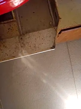 Beyond1978 online show from November 13, 2025, 8:35 pm