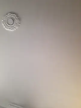 dragon1006 online show from November 22, 2025, 10:19 pm