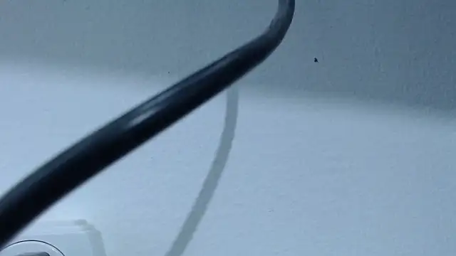 Hanna Fox 69 online show from February 28, 2025, 7:37 am