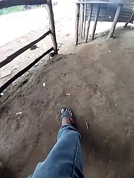 sudhastriper online show from September 11, 2025, 7:30 am