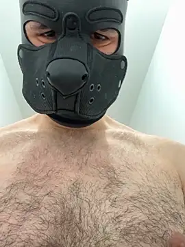 Snapshot of FrenchCamDog chatting on April 6, 2026, 2:29 pm FrenchCamDog online show from April 6, 2026, 2:29 pm