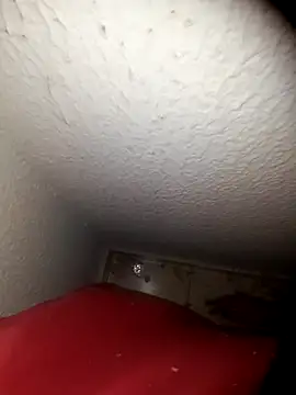 Snapshot of alexandre12115 chatting on February 2, 2025, 9:07 am alexandre12115 online show from February 2, 2025, 9:07 am