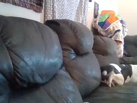 IvanaPlenty online show from February 1, 2025, 12:15 pm