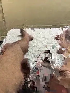 Snapshot of cum4mheaven chatting on March 22, 2026, 6:48 am cum4mheaven online show from March 22, 2026, 6:48 am