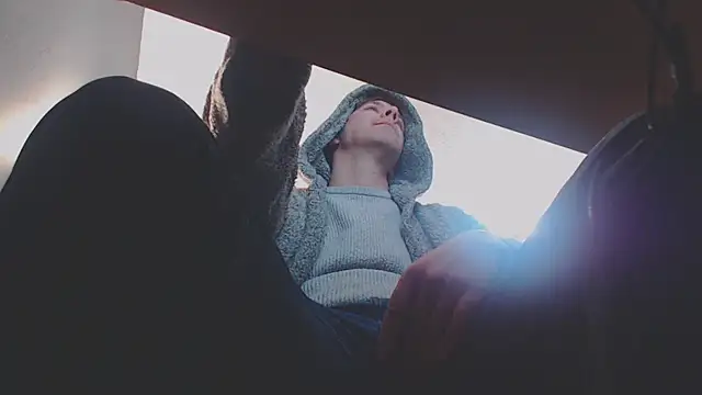 willybewild online show from February 12, 2025, 1:41 am