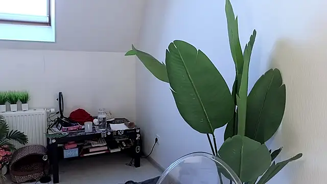 violetviolator online show from March 9, 2025, 6:06 am