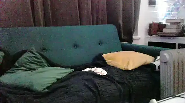 Snapshot of unclestefansdick chatting on December 16, 2024, 10:08 am unclestefansdick online show from December 16, 2024, 10:08 am