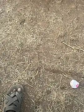 tamil000000 online show from March 10, 2025, 12:49 pm