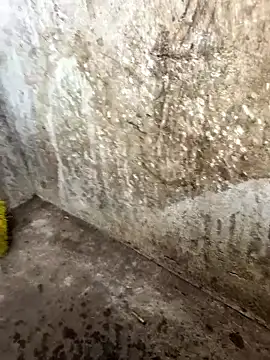 tamil000000 online show from January 17, 2026, 10:30 am