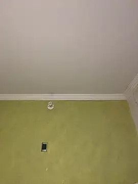 aurora divine online show from February 11, 2026, 10:53 pm