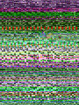 senoritaseno online show from February 11, 2025, 9:03 pm