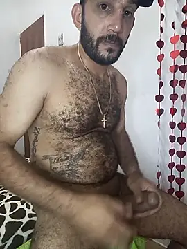 Snapshot of arqui009 chatting on February 8, 2026, 3:04 am arqui009 online show from February 8, 2026, 3:04 am