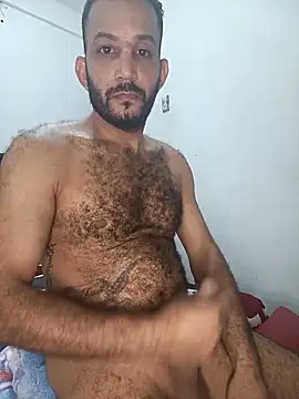 Snapshot of arqui009 chatting on February 24, 2026, 2:56 am arqui009 online show from February 24, 2026, 2:56 am