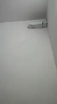 davidss57400 online show from January 31, 2025, 5:32 pm