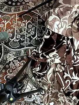 poision51 online show from November 16, 2025, 11:37 am