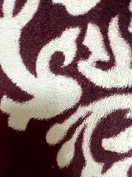 poision51 online show from November 17, 2025, 4:38 am