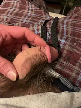 willcumforu online show from February 28, 2025, 4:54 am